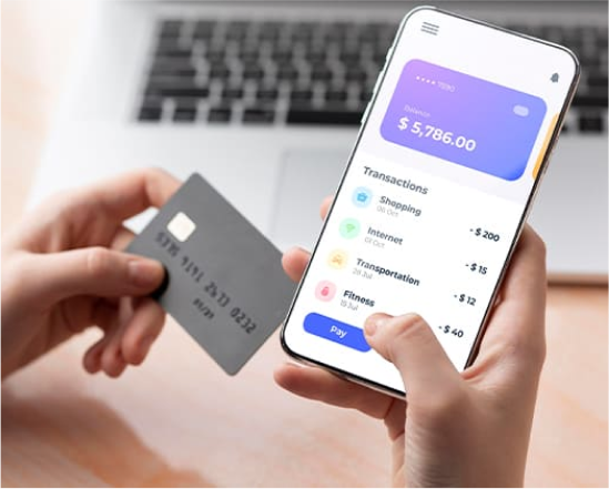 eWallet software development in Norway